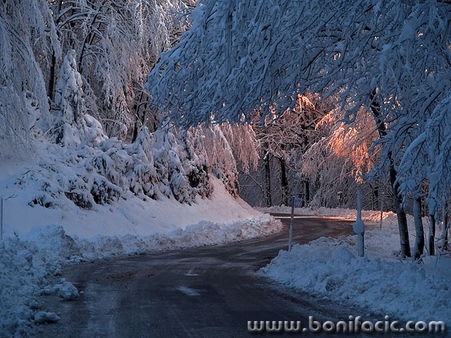 nature___Lighted Way___Mrzla Vodica, Croatia.