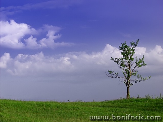 nature___Lone___Zvecaj, Croatia.
