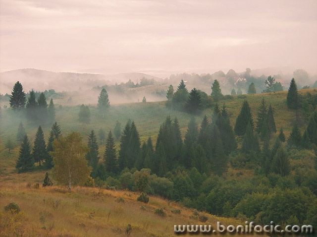 nature___Lost Village___Gomirje, Croatia.
