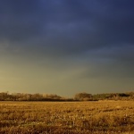 nature___Medjimurje___Cakovec, Croatia.