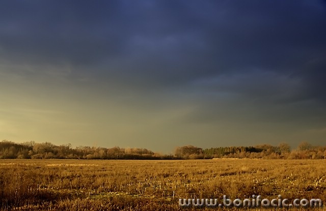 nature___Medjimurje___Cakovec, Croatia.