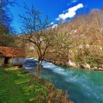 nature___Mreznica___Kordun, Croatia.