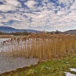 nature___On The Lake___Svica, Croatia.