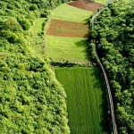 nature___One Day I'll Fly Away___Limska Draga, Croatia.