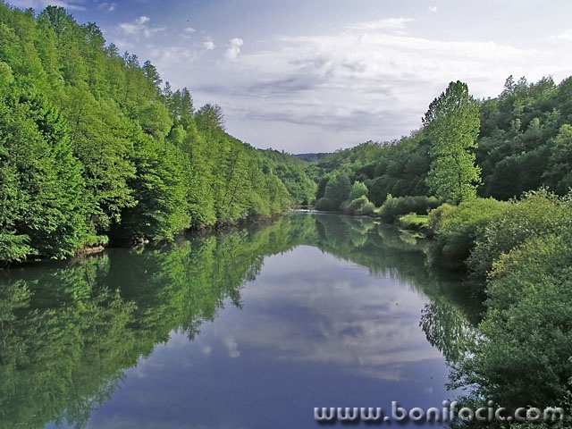 nature___On The River___River Dobra, Croatia.