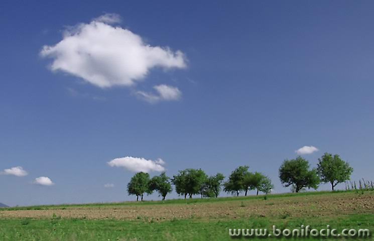nature___Online___Slovenia.
