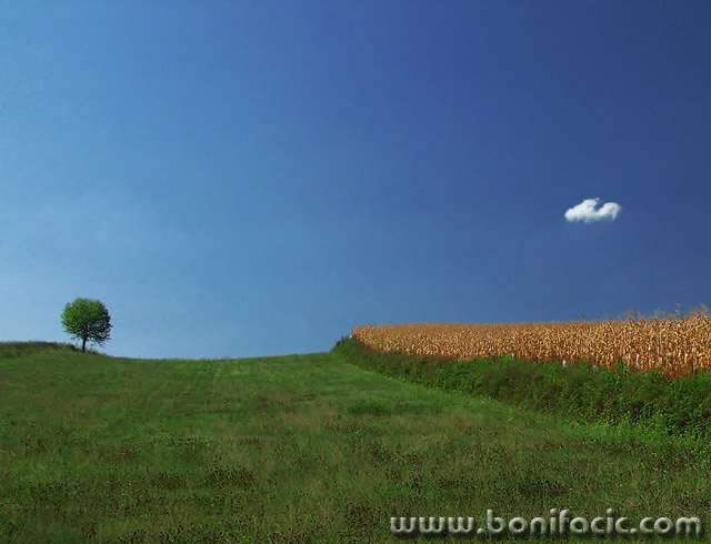 nature___Opposition___Kordun, Croatia.