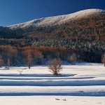 nature___Paralleles___Krasno, Croatia.