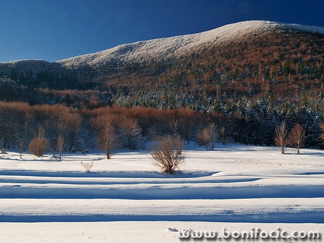 nature___Paralleles___Krasno, Croatia.
