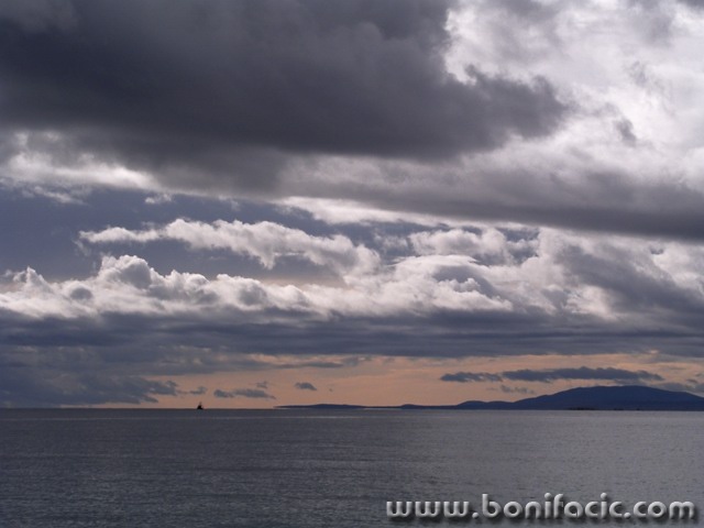 nature___Partive___Punat, Croatia.