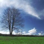 nature___Picnic Place___Josipdol, Croatia.