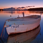 nature___PN 96___Punat, Croatia.