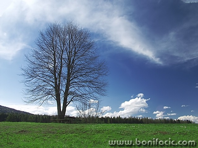 nature___Picnic Place___Josipdol, Croatia.