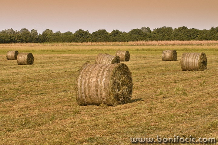 nature___Players___Jastrebarsko, Croatia.