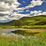 nature___Pool___Svica, Croatia.