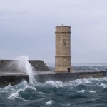 nature___Poop___Senj, Croatia.
