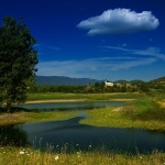 nature___Puddle___Svica, Croatia.