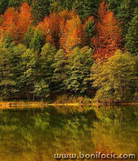 nature___Reflex___Fuzine, Croatia.