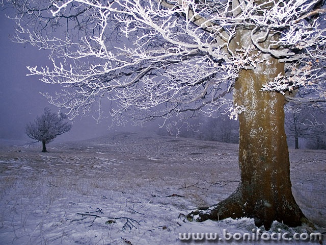 nature___Remote Controled___Mrzla Vodica, Croatia.