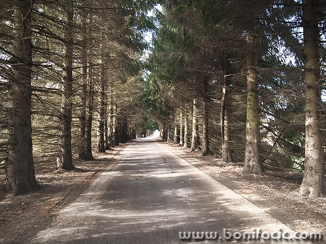 nature___Shades___Ogulin, Croatia.