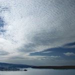 nature___Sheeps___Punat, Croatia.