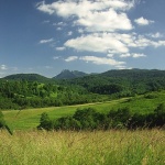 nature___Signalize___Gomirje, Croatia.