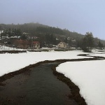nature___Snake___Josipdol, Croatia.