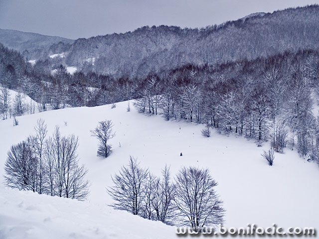 nature___Snowy Valley___Lepeni, Croatia.