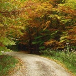 nature___Spiry___Fuzine, Croatia.