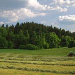 nature___Spring Doings___Slovenia.