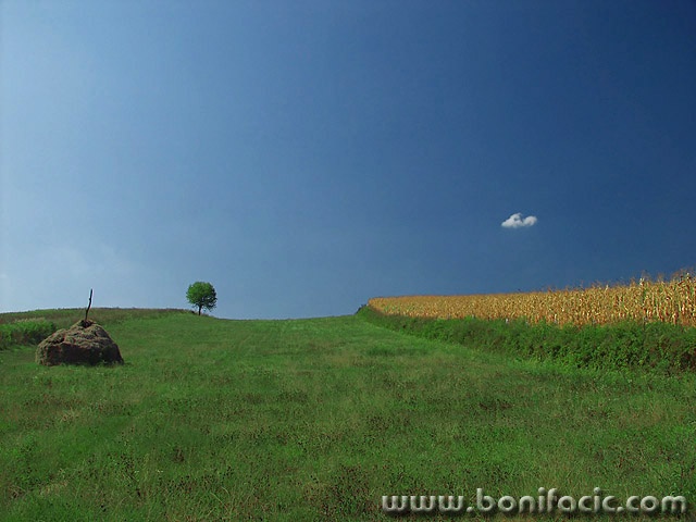 nature___Somewhere In Summertime___Kordun, Croatia.