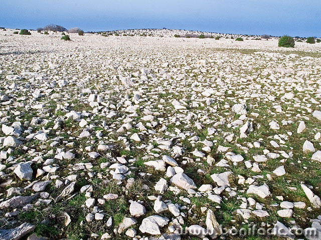 nature___Steppe___Baska, Croatia.
