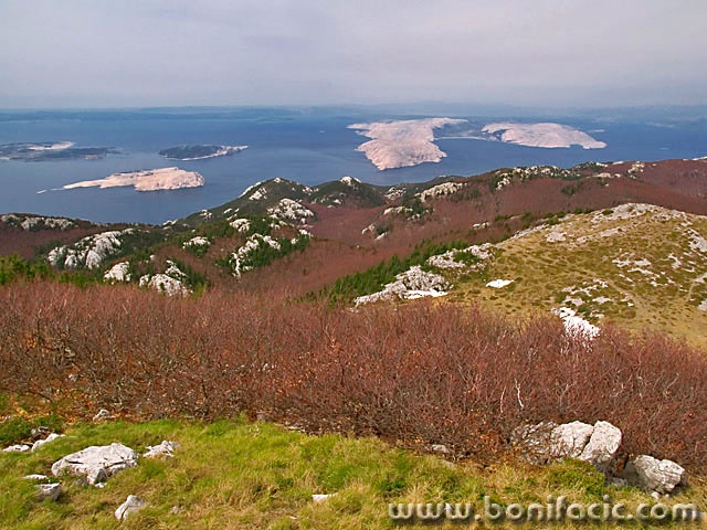 nature___Stone Islands___Zavizan, Croatia.