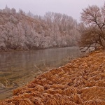 nature___Subside___Lesce, Croata.