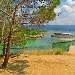 nature___Summer Pines___izici, Croatia.