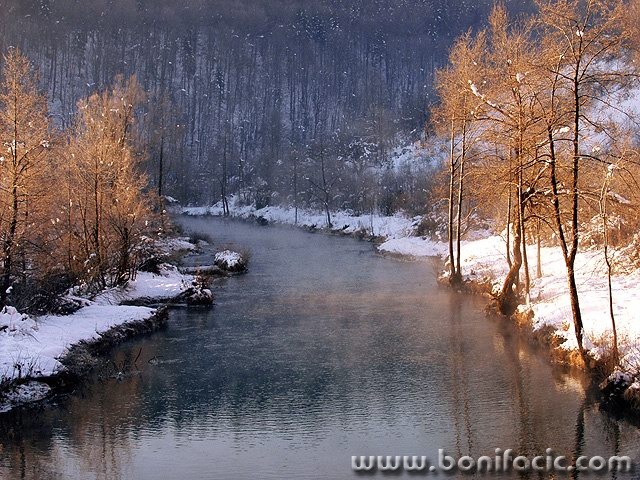 nature___Sunny Bank___Luke, Croatia.