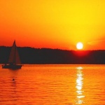 nature___Through Sunglasses___Punat, Croatia.