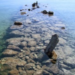 nature___Toothless___Punat, Croatia.