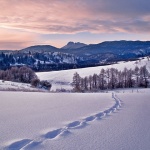 nature___Track___Gomirje, Croatia.