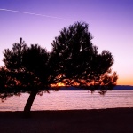 nature___Traffic___Punat, Croatia.