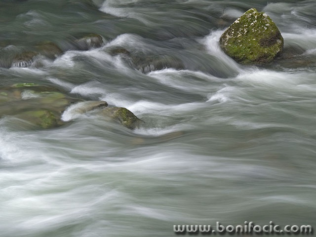 nature___Torrent___Zeleni Vir, Croatia.