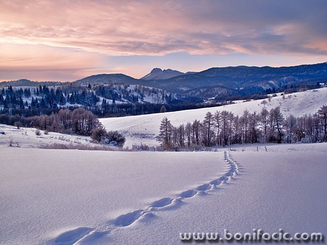 nature___Track___Gomirje, Croatia.