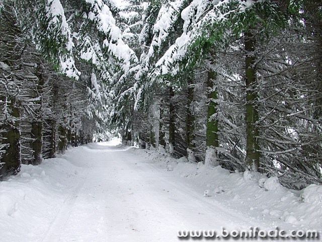 nature___Tunnel___Ogulin, Croatia.