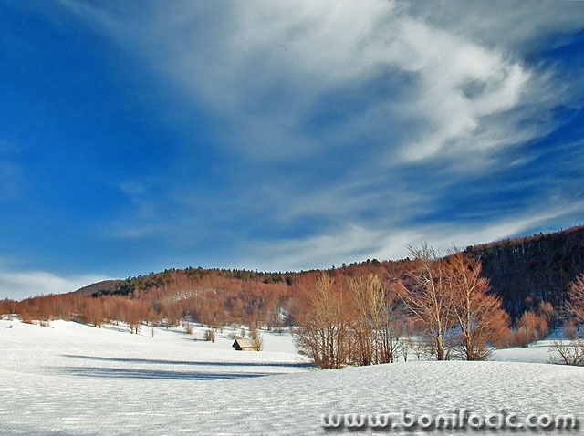 nature___Under Winter Sky___Begovo Razdolje, Croatia.