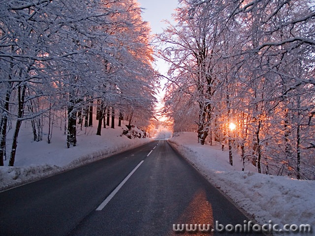 nature___Wakeful Eye___Gorski Kotar, Croatia.