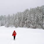 nature___Walk___National Park Risnjak, Croatia.