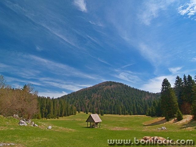 nature___Wide___National Park Risnjak, Croatia.