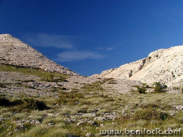 nature___Wild Wild West___Stara Baska, Croatia.