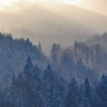nature___Winter Daybreak___National Park Plitvice, Croatia.