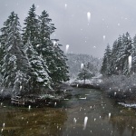 nature___Winter___Licka Jesenica, Croatia.